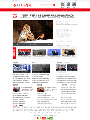 广州网站建设